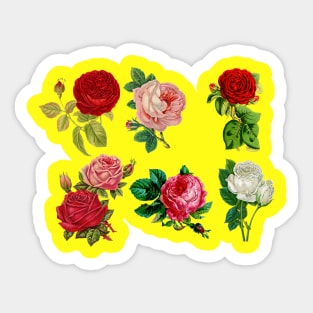 Roses pattern Art Sticker